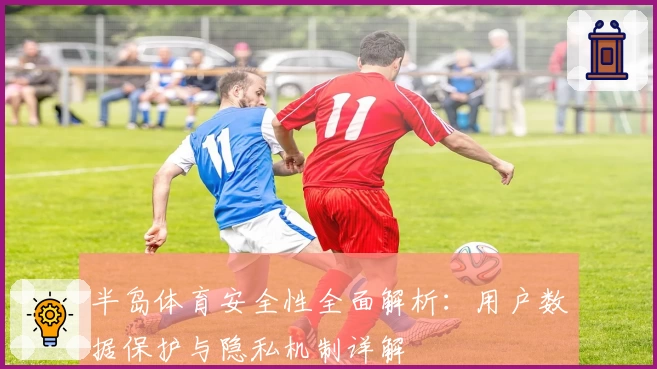 半岛体育安全性全面解析：用户数据保护与隐私机制详解