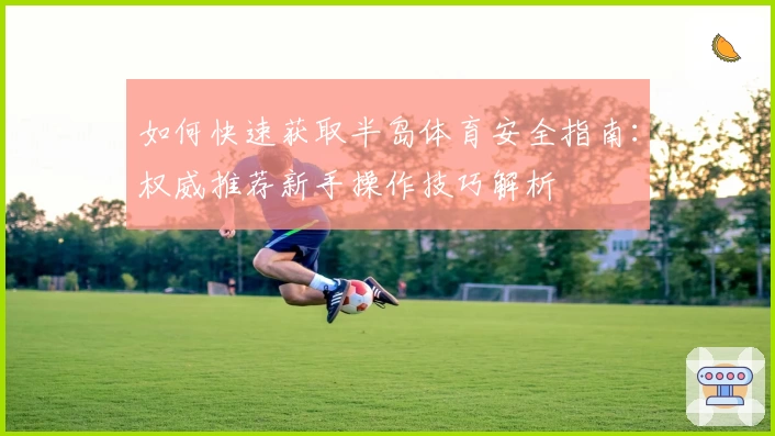 如何快速获取半岛体育安全指南：权威推荐新手操作技巧解析