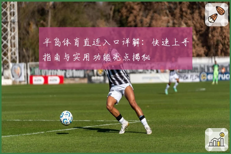 半岛体育直连入口详解：快速上手指南与实用功能亮点揭秘
