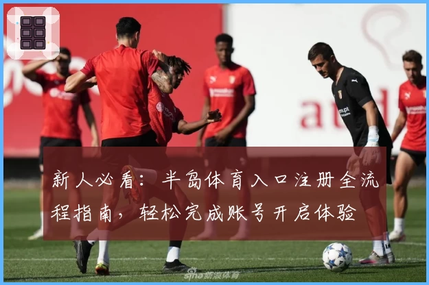 新人必看：半岛体育入口注册全流程指南，轻松完成账号开启体验