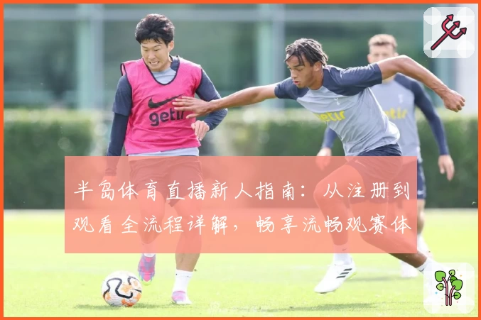 半岛体育直播新人指南：从注册到观看全流程详解，畅享流畅观赛体验
